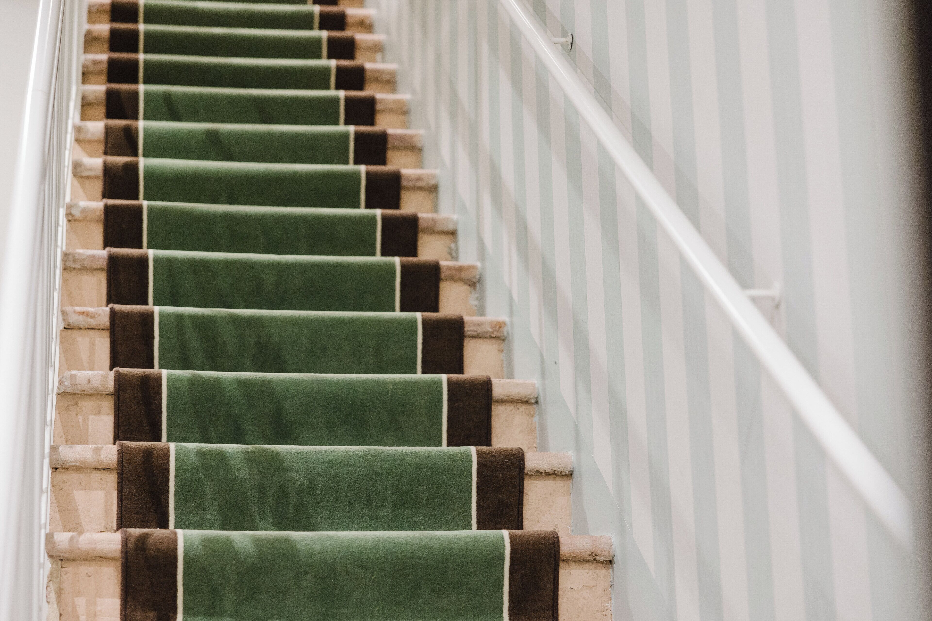 Foto - Polo's Treasures