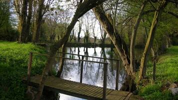 Een houten brug over een rustig waterlichaam, omgeven door weelderige begroeiing en bomen.