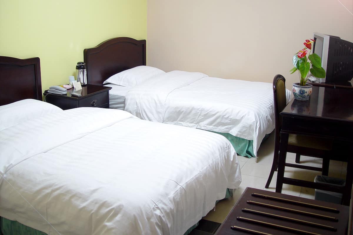 Habitación de hotel con dos camas individuales, un escritorio con ordenador, una silla y una pequeña planta en maceta.