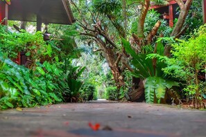 Un sendero bordeado de abundante vegetación y árboles, que conduce a una zona cubierta.