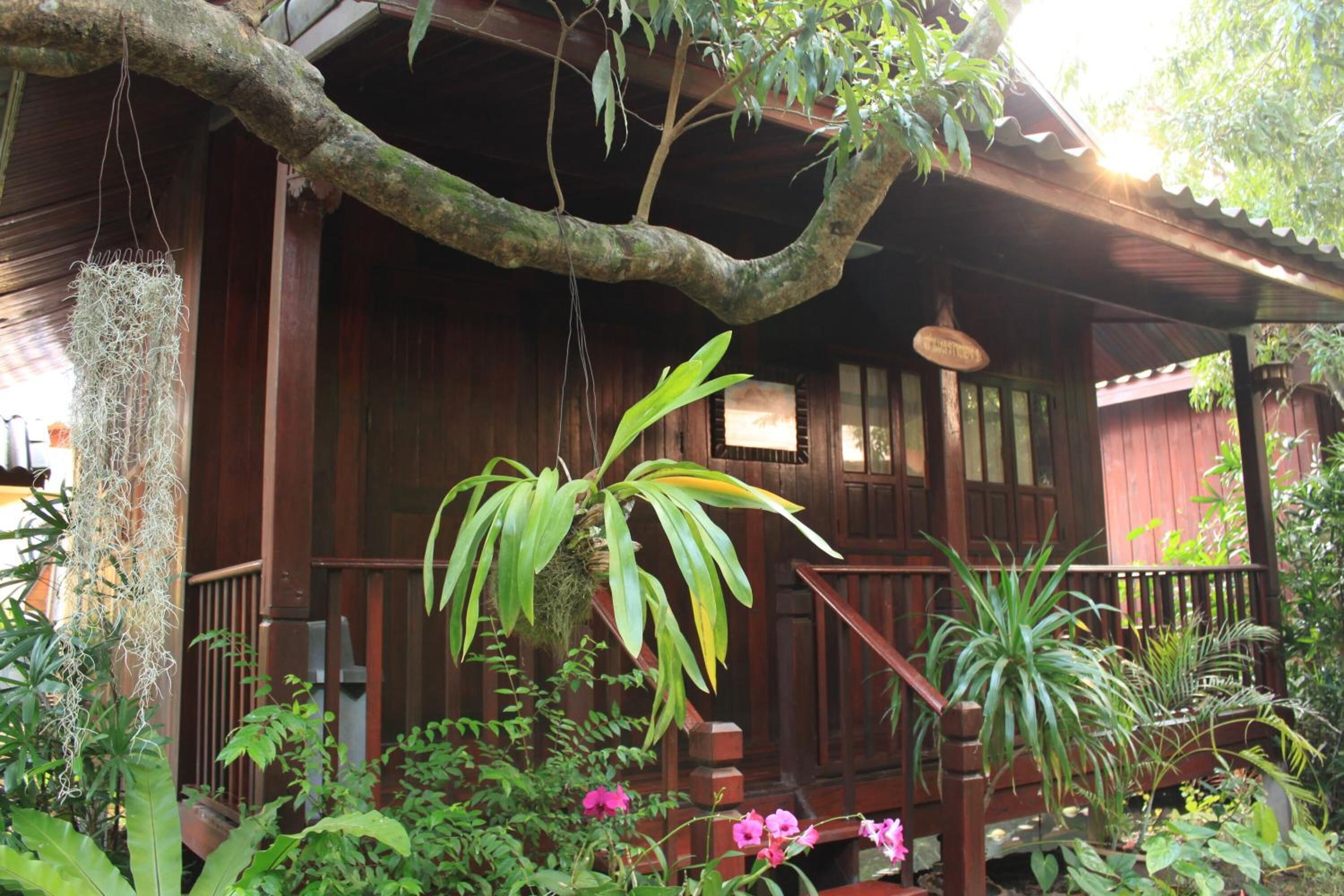 Una casa de madera con porche, rodeada de abundante vegetación y plantas con flores.