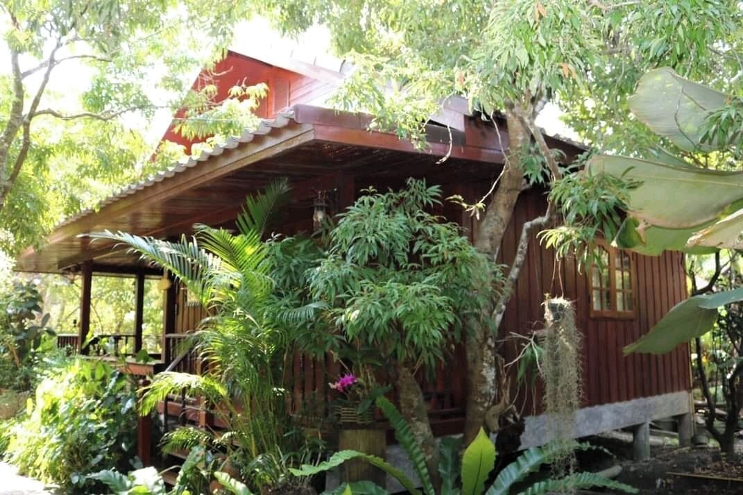 Una casa de madera rodeada de abundante vegetación y árboles.