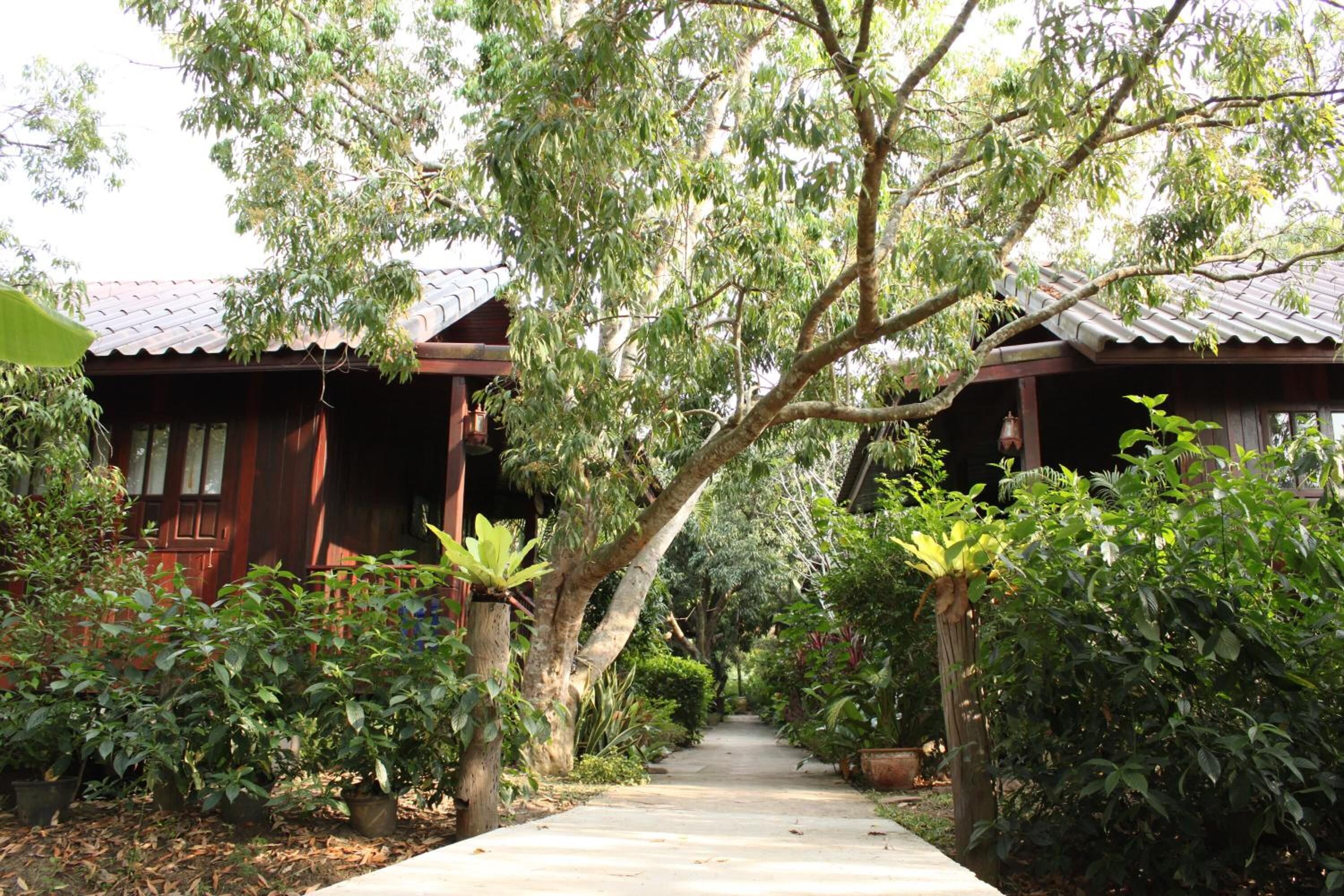 A pathway leading to a wooden building with a tiled roof, surrounded by lush greenery and potted plants.