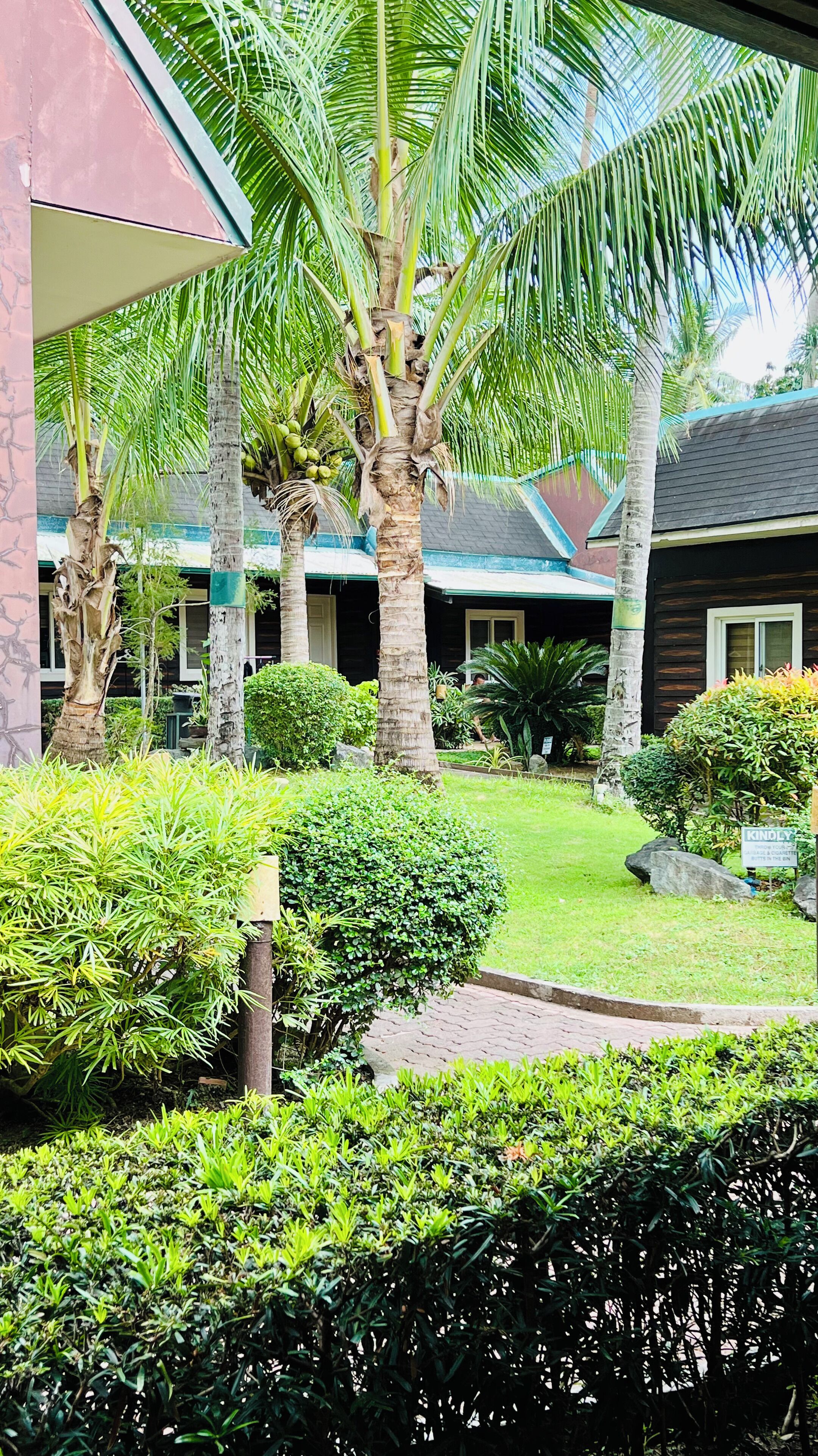 Garden view