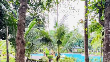 Deluxe Room, Poolside | Garden view