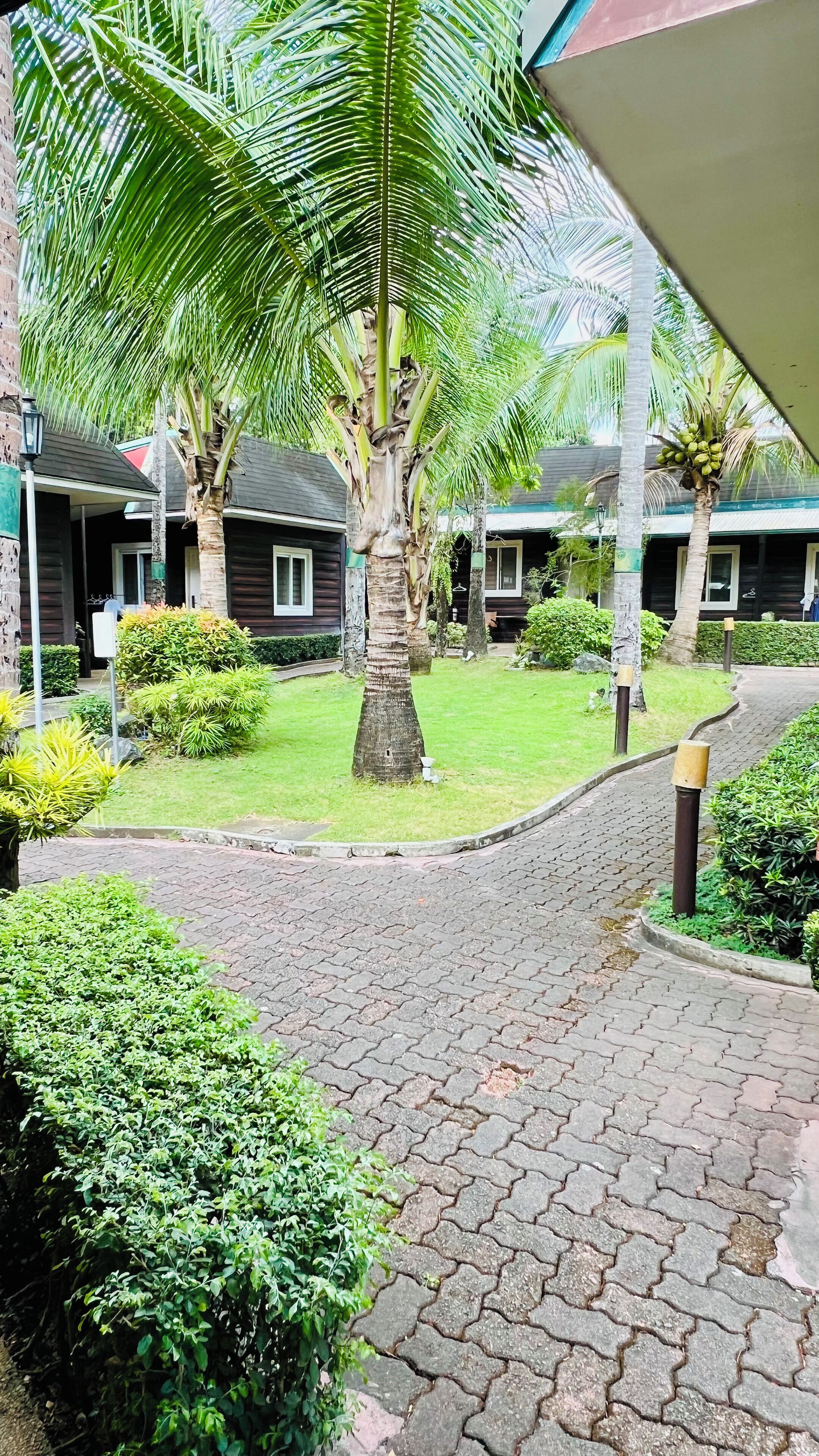 A courtyard with palm trees, a paved walkway, and a small garden area.