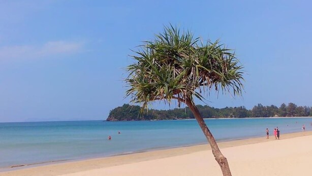 Una playa con una sola palmera, agua azul cristalina y una costa distante con gente.
