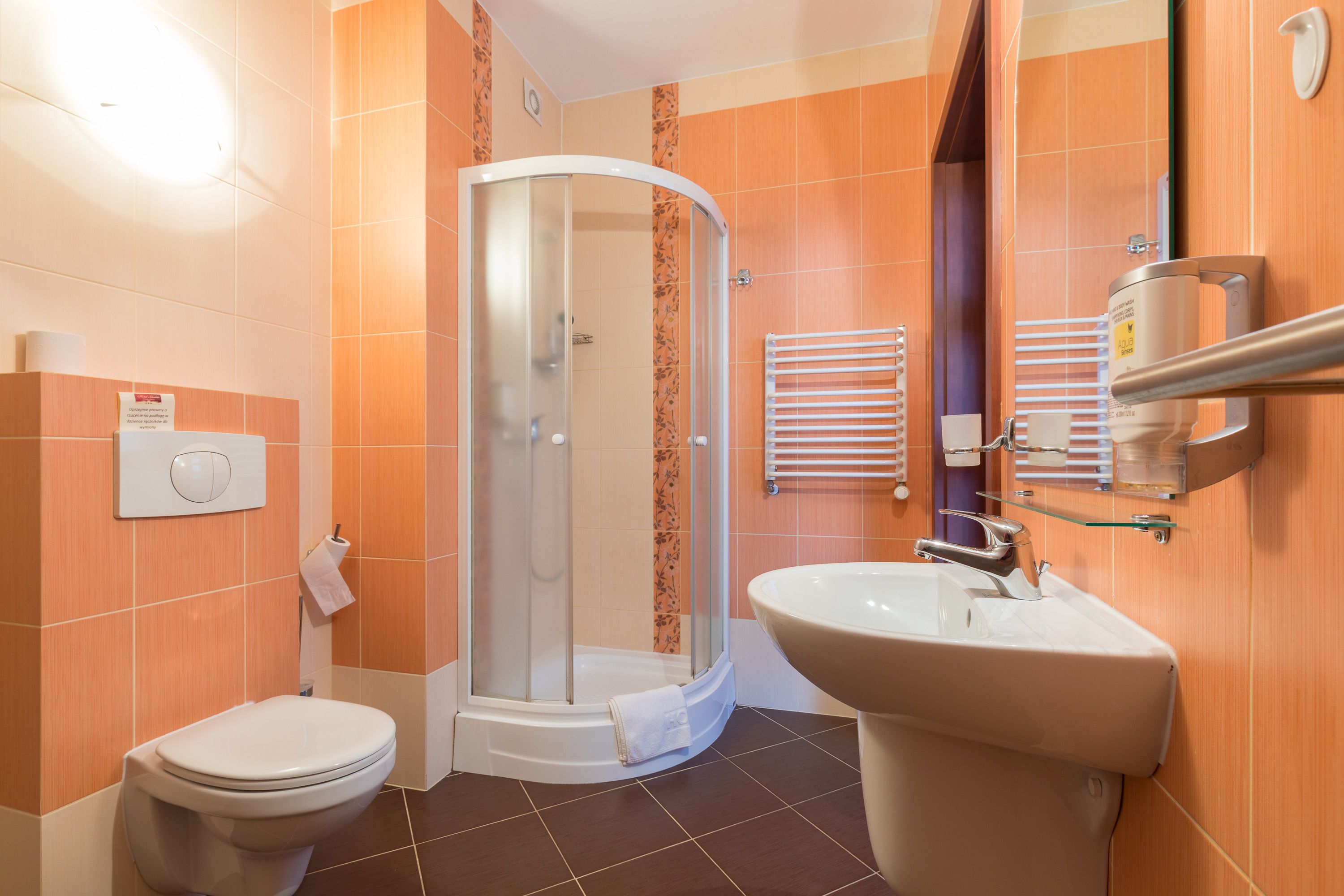 classic double room | bathroom | free toiletries, hair dryer, towels