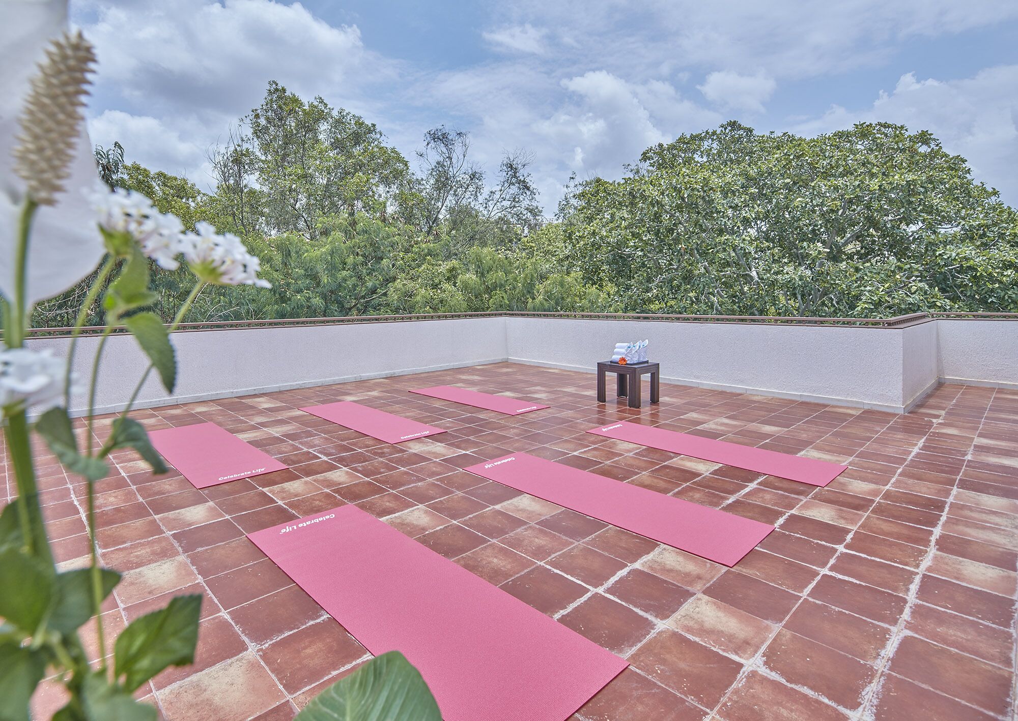 Yoga