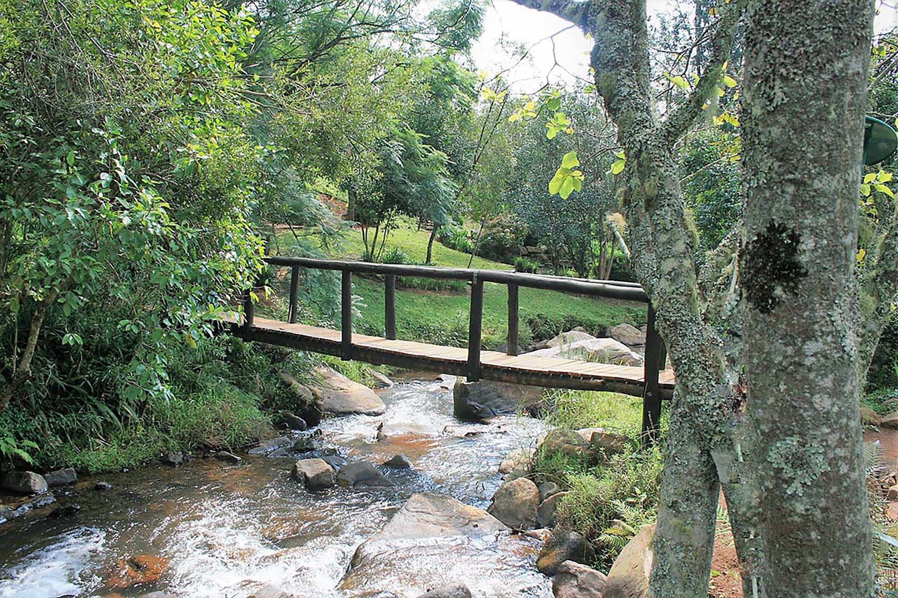 A wooden bridge over a stream in a forested area.