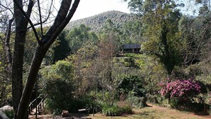 Paesaggio rurale con una casa circondata da vegetazione lussureggiante e una montagna sullo sfondo.