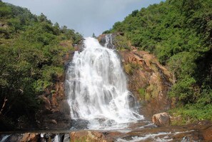 Una cascada que se precipita por un risco rocoso rodeado de exuberante vegetación.