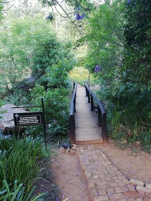 Property grounds - Sabi Star Chalets (Sabie)