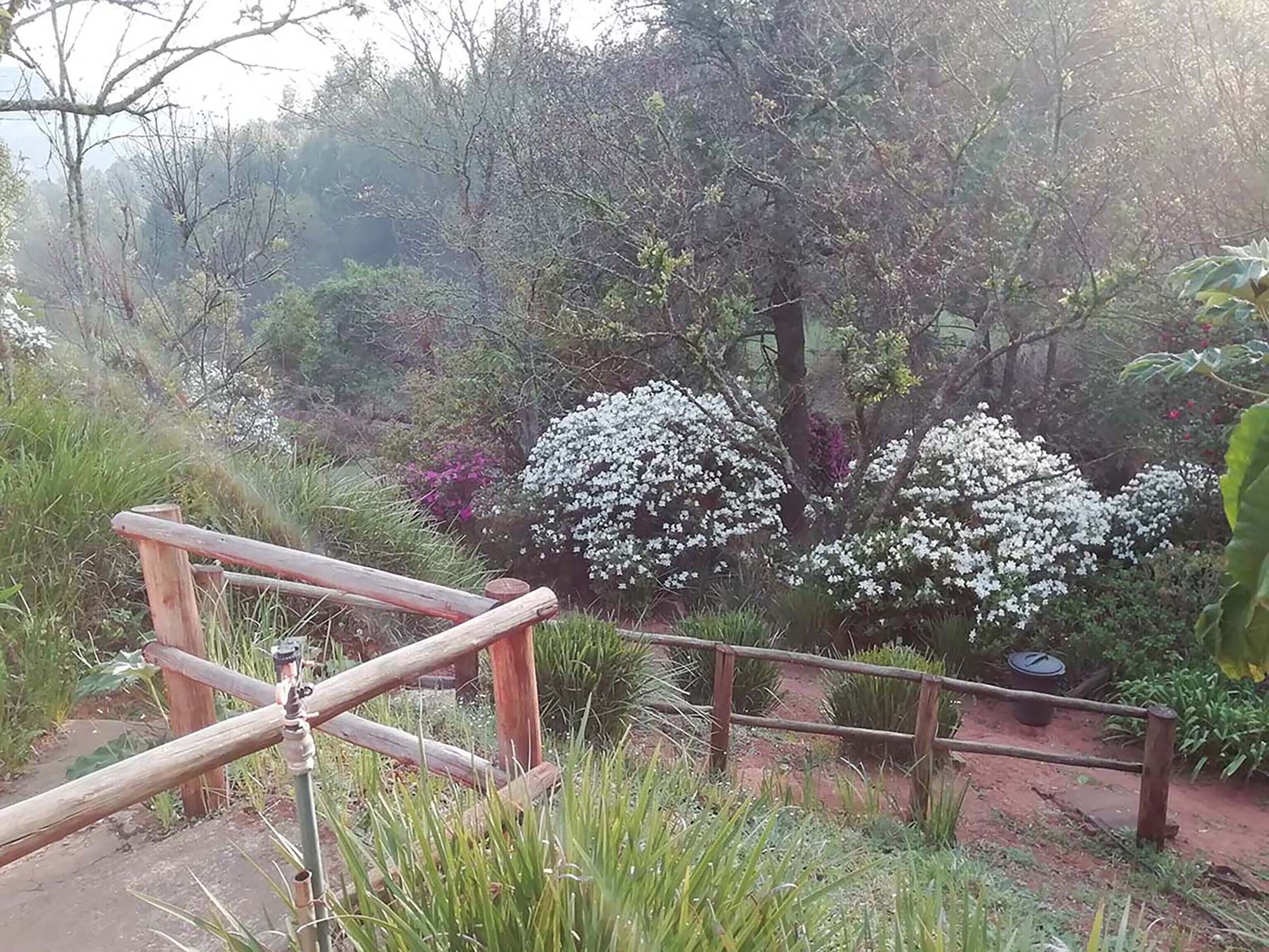 庭園