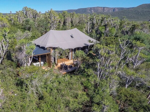 Luxury Tent, River View | 1 bedroom, premium bedding, free minibar, in-room safe - Kariega Game Reserve Settlers Drift (Kenton on Sea)
