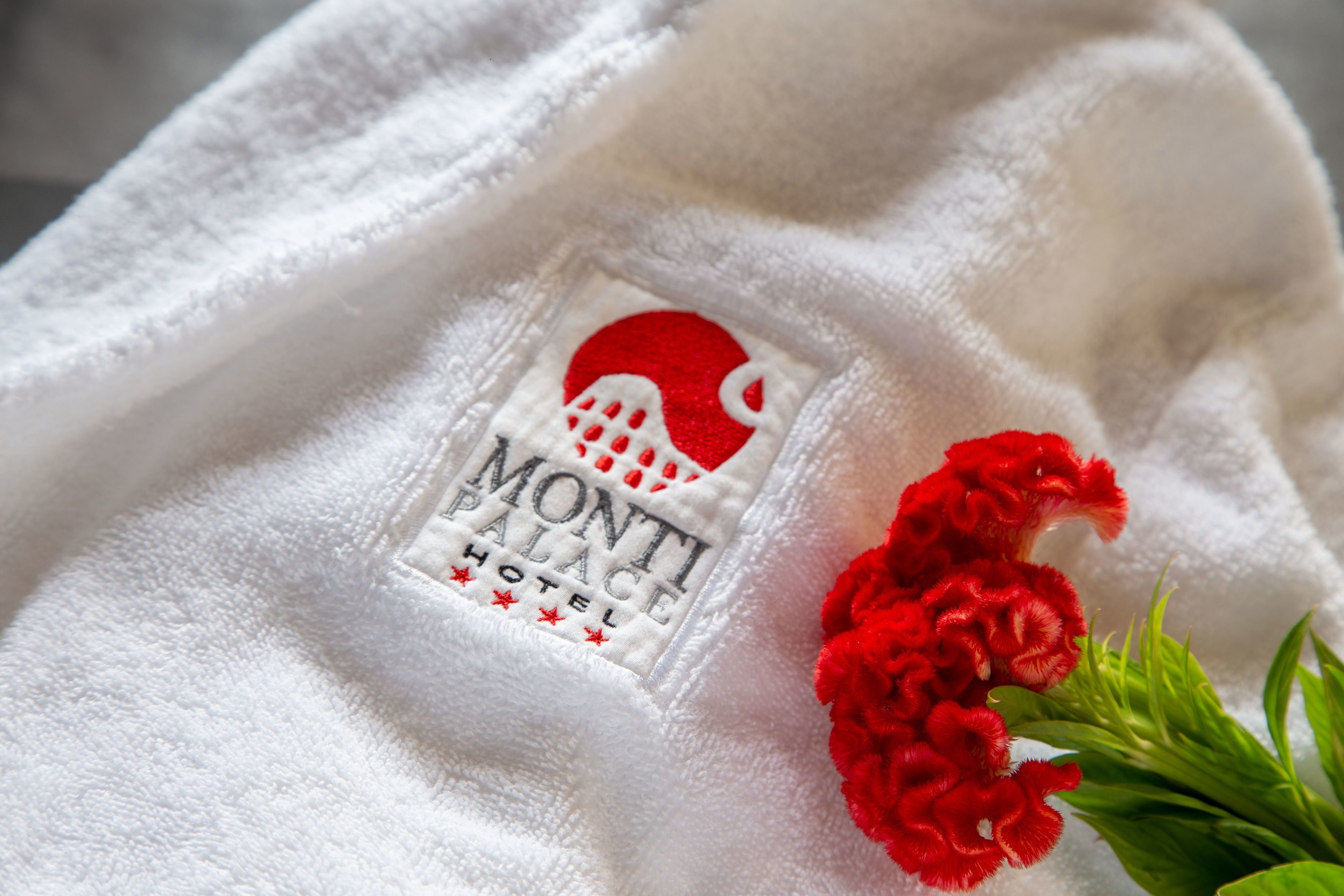 Foto - Monti Palace Hotel