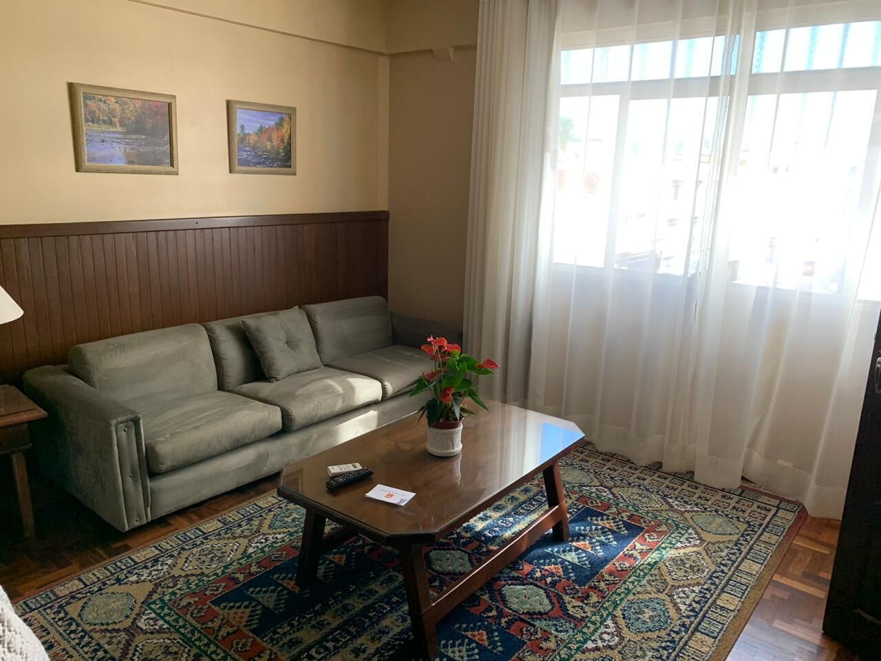 A living room with a sofa, a coffee table with a plant, a rug, and two framed pictures on the wall.