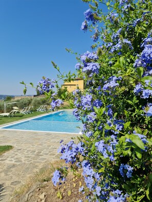 2 piscinas externas, funciona das 9h às 20h, espreguiçadeiras