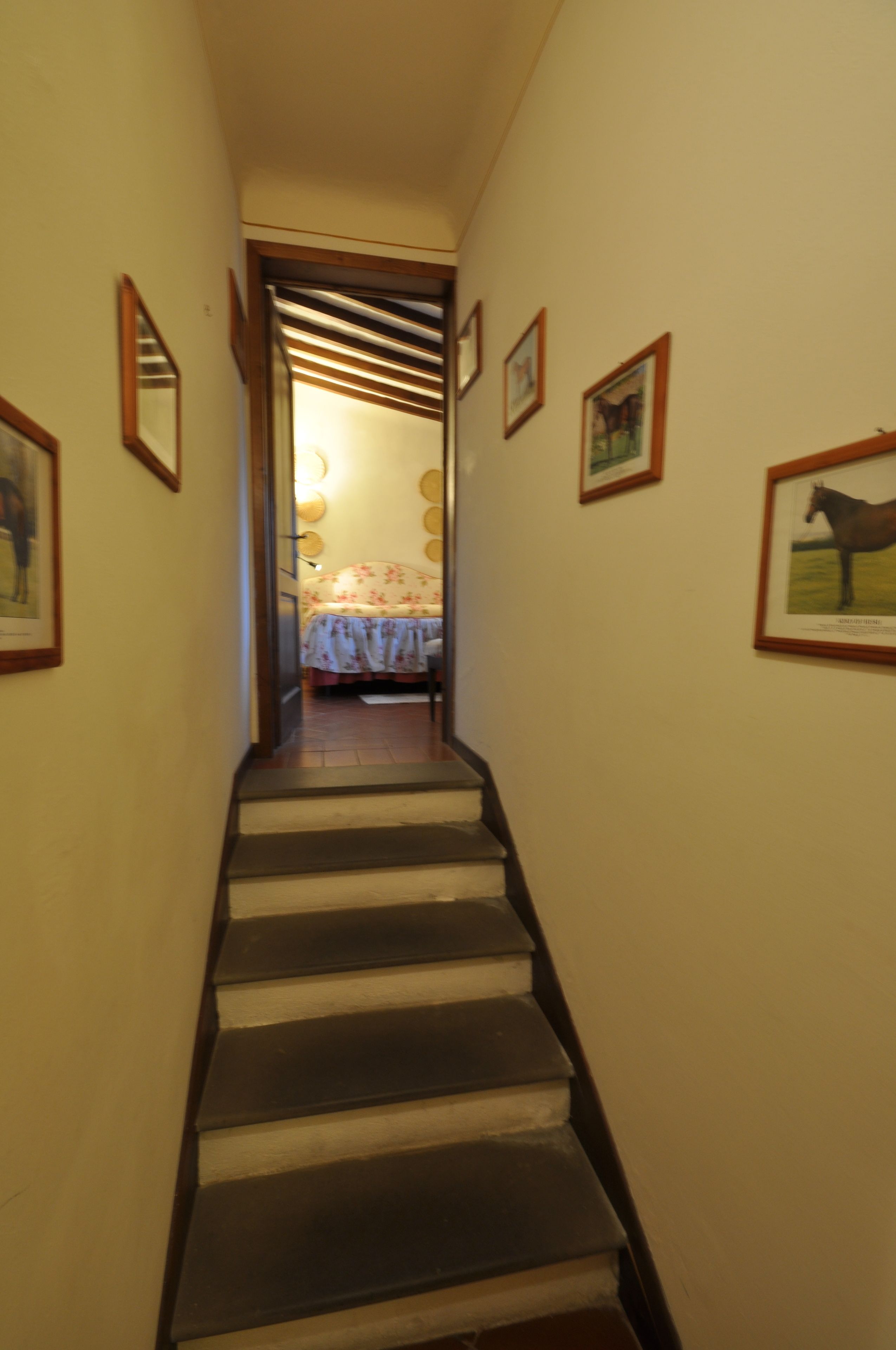 Photo - Fattoria di Maiano