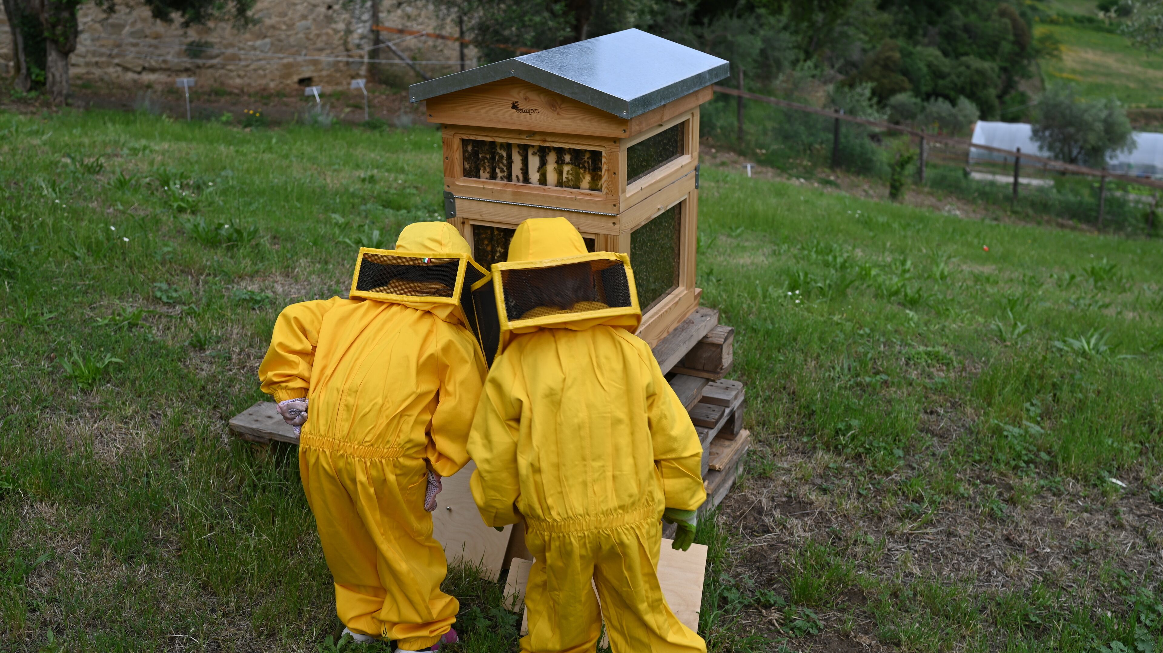 Foto - Fattoria di Maiano