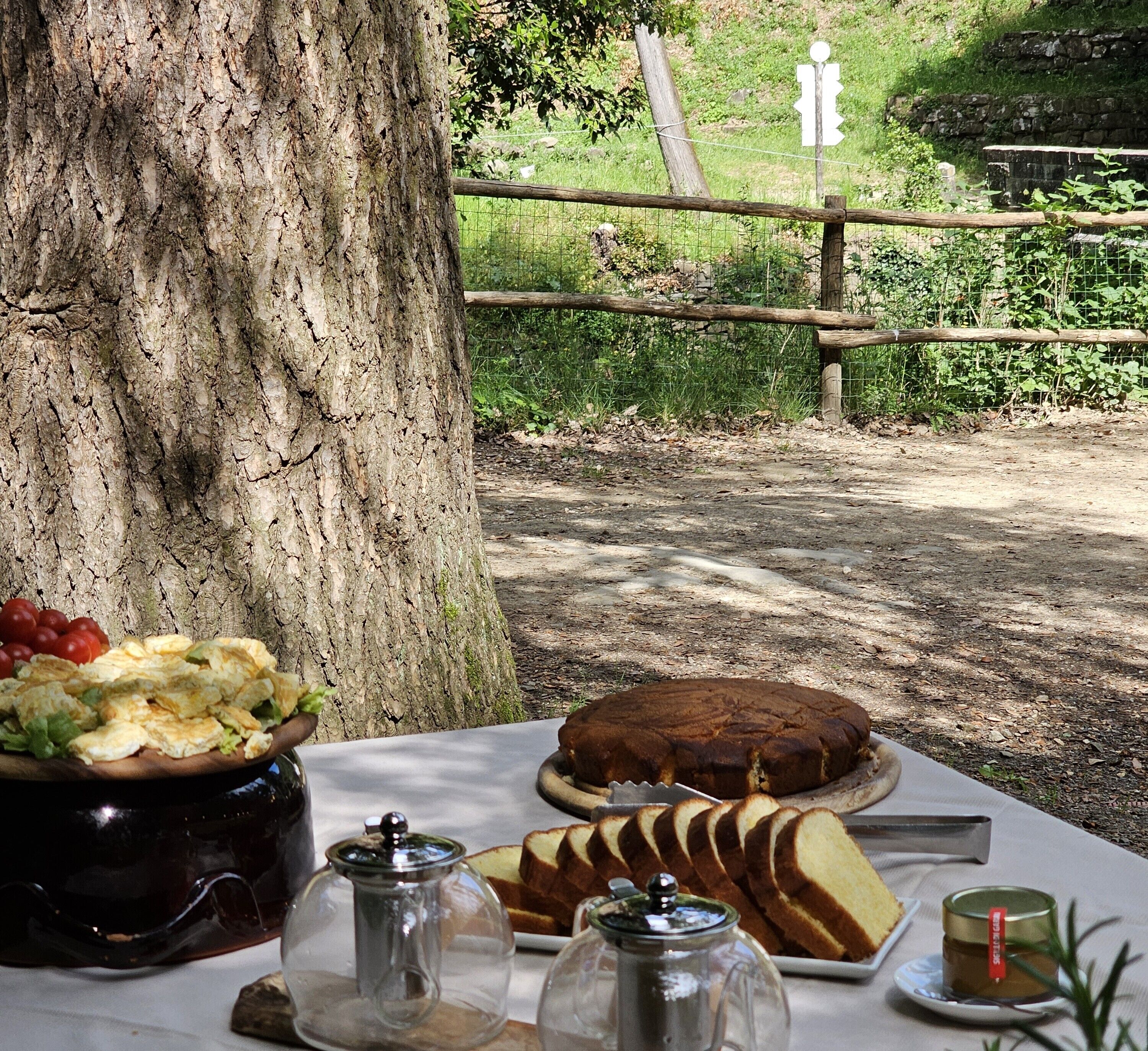 A picnic table with food and drinks, a tree, and a fence in the background.