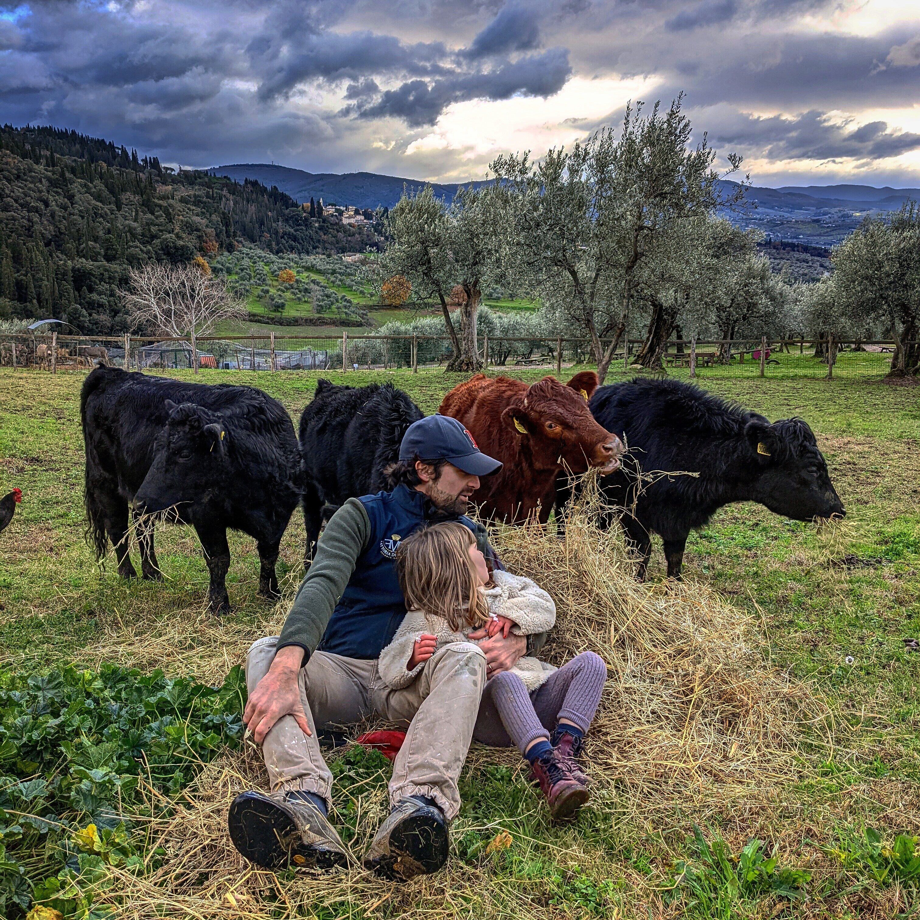 Foto - Fattoria di Maiano