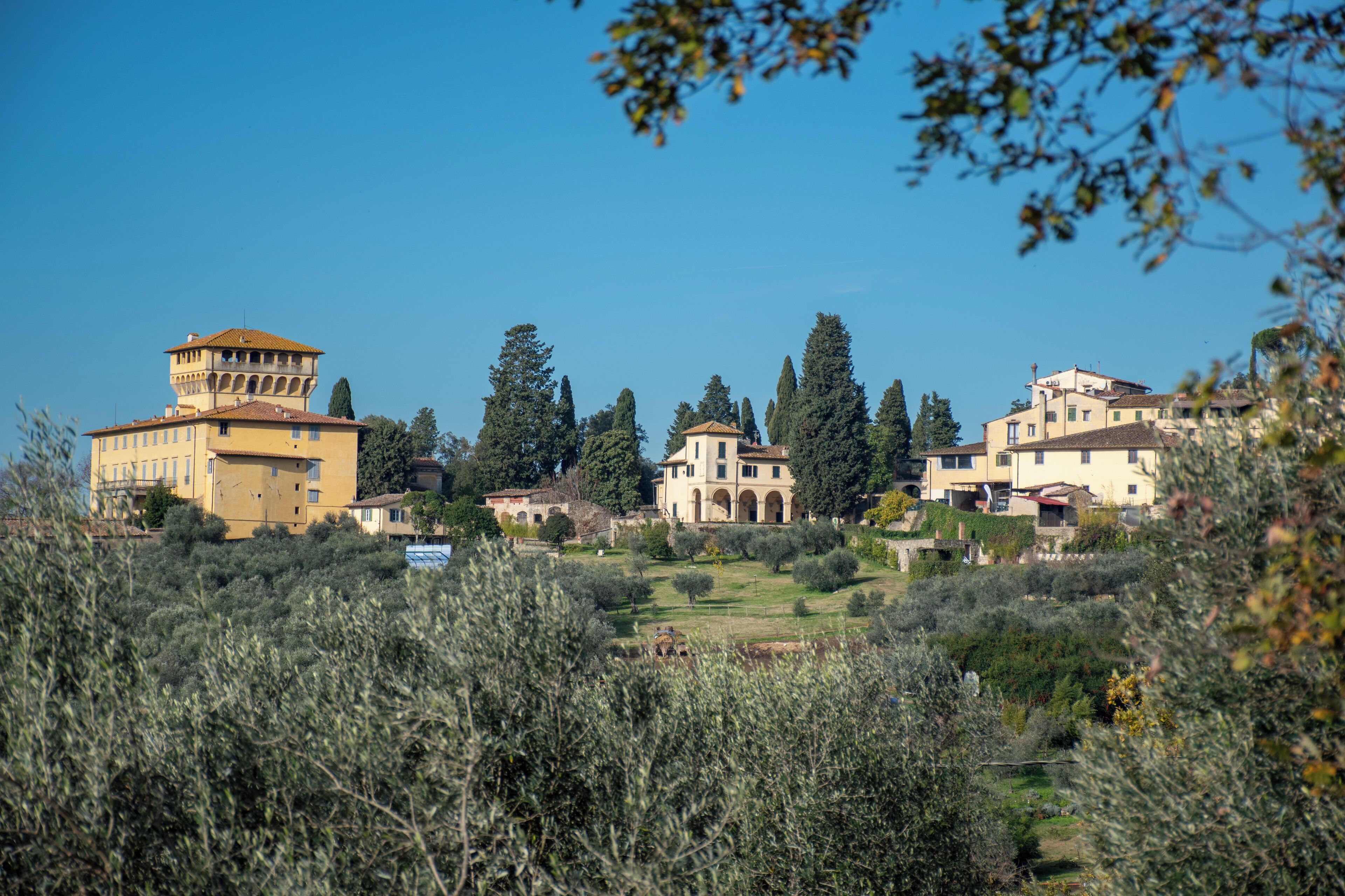 Foto - Fattoria di Maiano