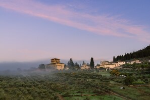 A rural landscape with olive groves, a historic building with a tower, and a hillside with residential structures. - Fattoria di Maiano (Fiesole)