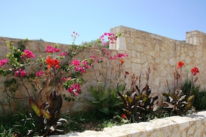 A stone wall with bougainvillea plants and other greenery.