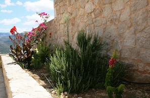 A stone wall with a garden featuring various plants and flowers. - Lagoon View Apartments - Adults Only (Kefalonia)