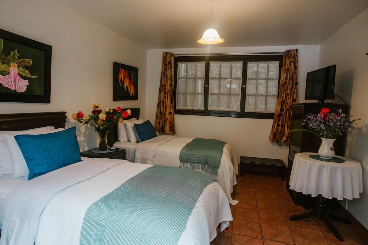 Premium bedding, free WiFi, bed sheets
