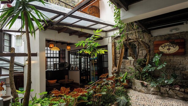 A cozy, rustic interior with a stone wall, wooden beams, and lush greenery. - Gringo Bill's Boutique Hotel (Machu Picchu)