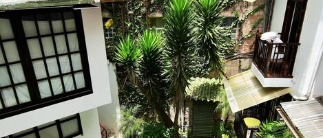 Un patio residencial con piscina, abundante vegetación y un edificio de varios pisos con balcones.