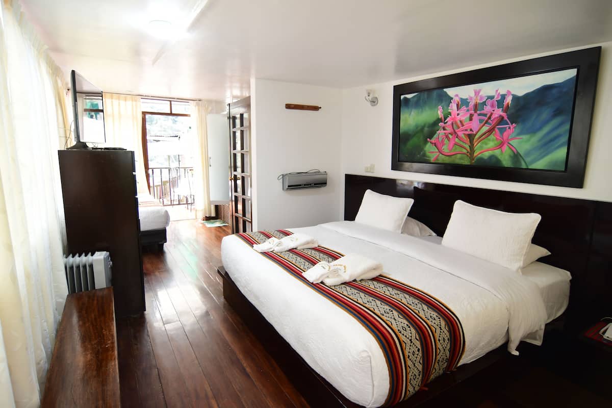 A hotel room with a large bed, a TV, a painting, and a view of the outdoors.
