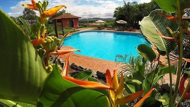 A swimming pool surrounded by tropical plants and a small pavilion. - Sesc Bonito (Bonito)