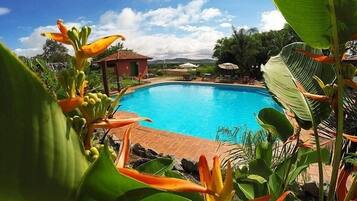 Una piscina al aire libre, sombrillas, sillones reclinables de piscina