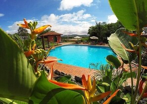 A swimming pool surrounded by tropical plants and a small pavilion. - Sesc Bonito (Bonito)