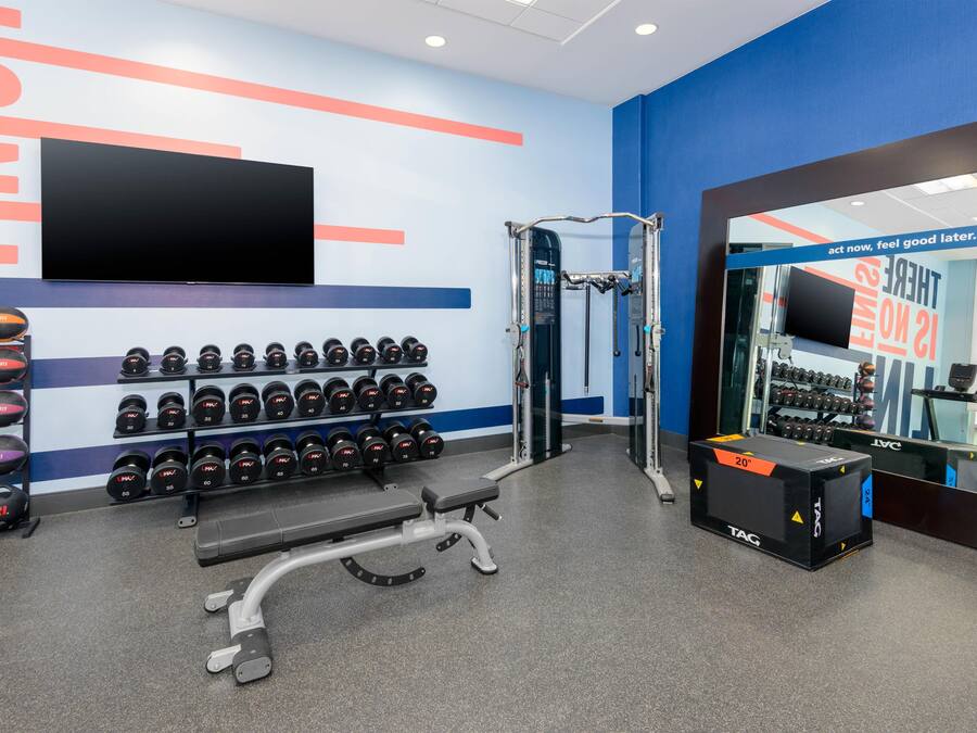 Une salle de sport équipée de matériel de musculation, d’un banc et d’un téléviseur fixé au mur.