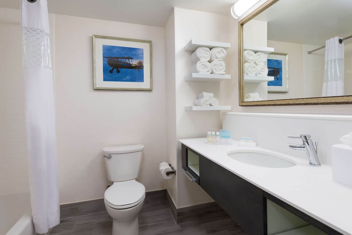 shower, free toiletries, hair dryer, towels