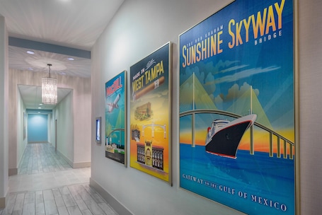 Meeting facility. Hampton Inn & Suites Tampa Airport Avion Park Westshore