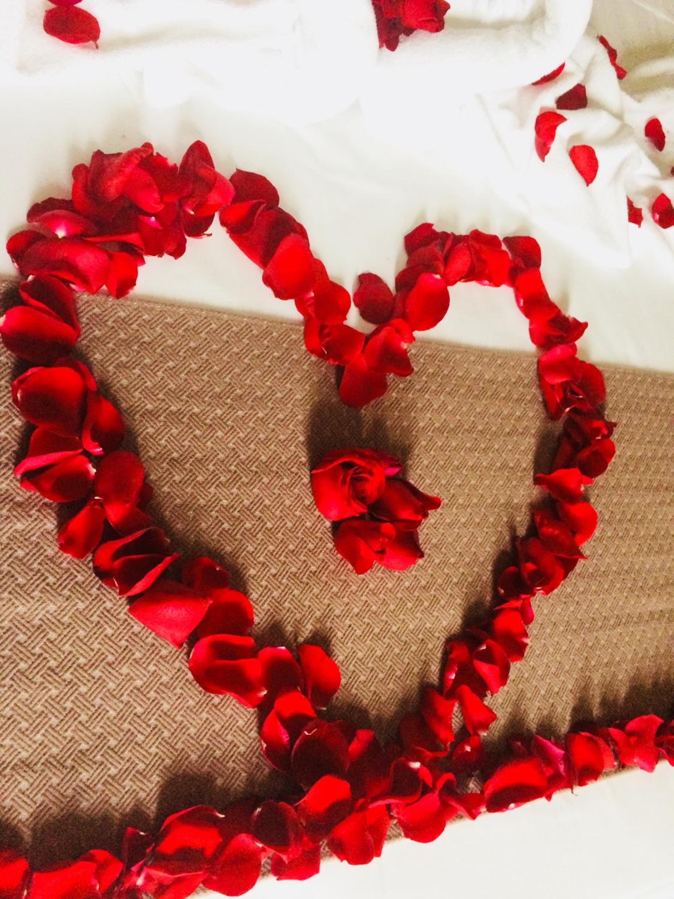Uma cama com pétalas de rosas vermelhas dispostas em formato de coração.