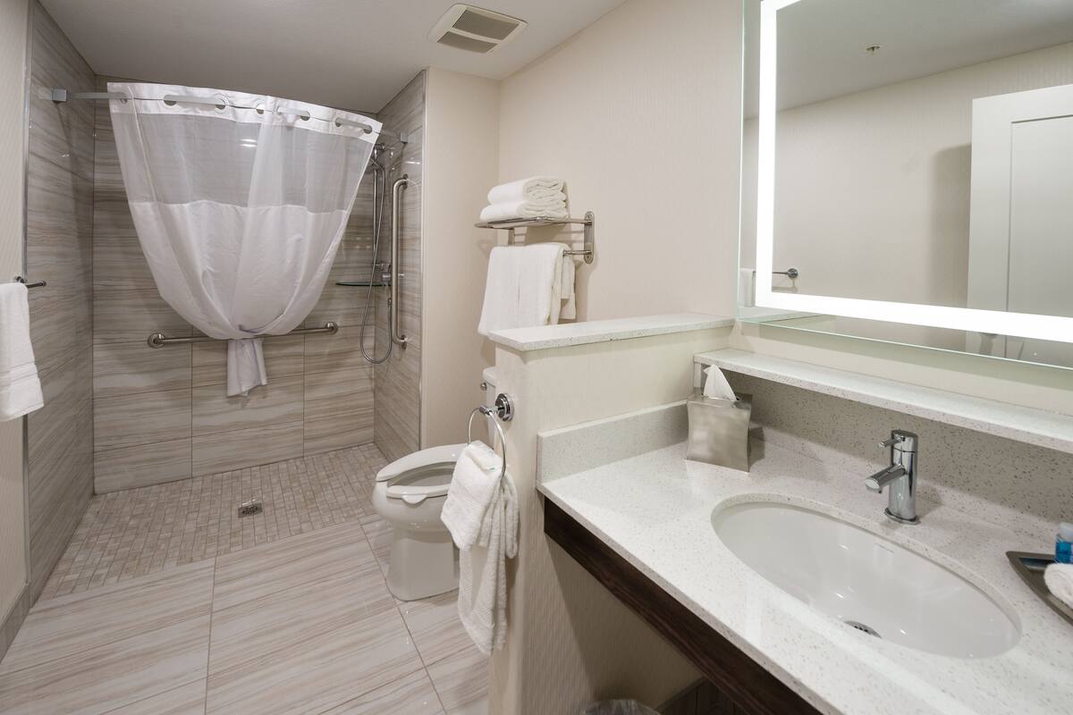 standard room, 1 king bed, accessible | bathroom | rainfall showerhead, designer toiletries, hair dryer, bathrobes