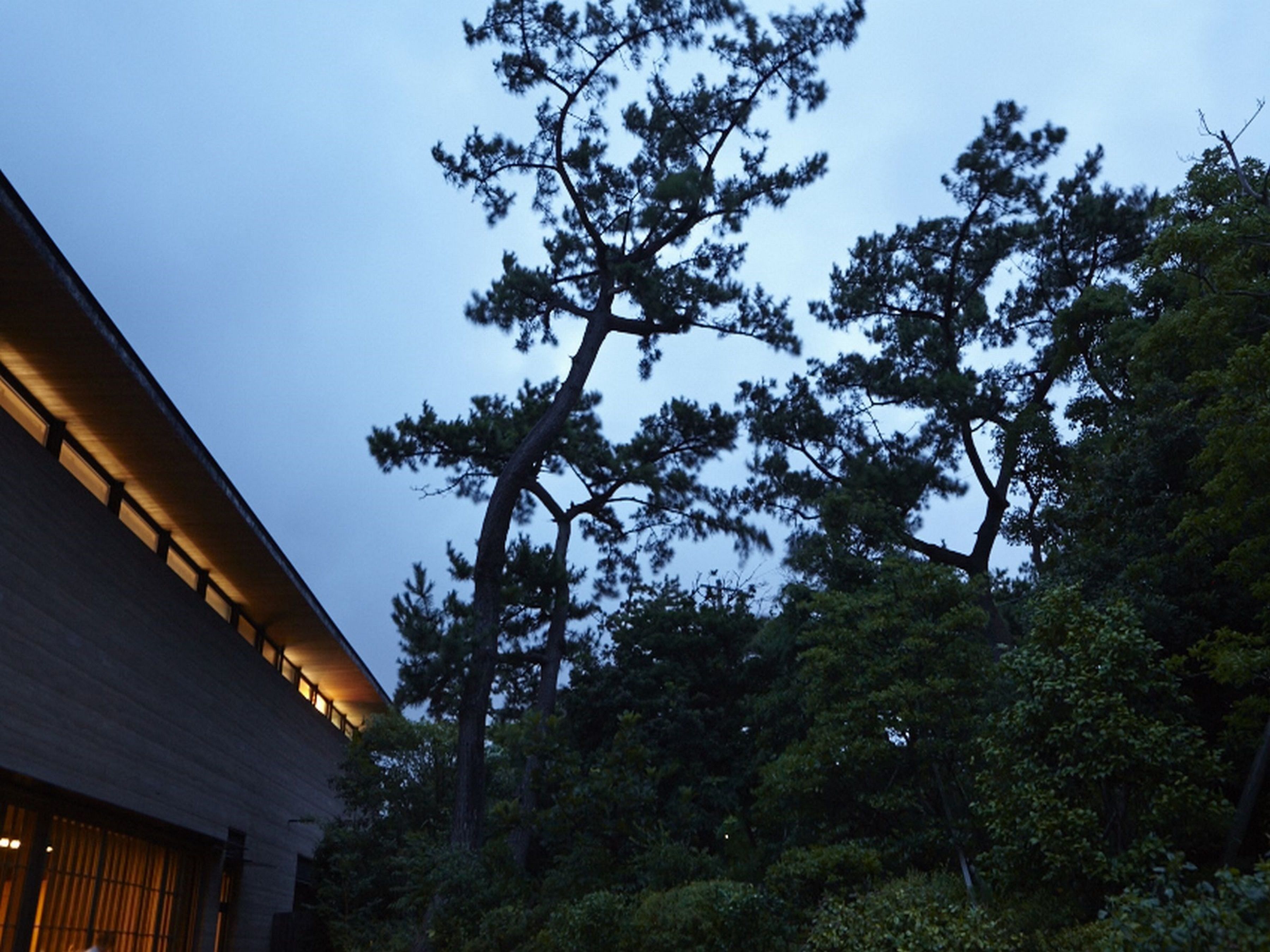 A building with a modern architectural design, surrounded by dense trees and a clear sky.
