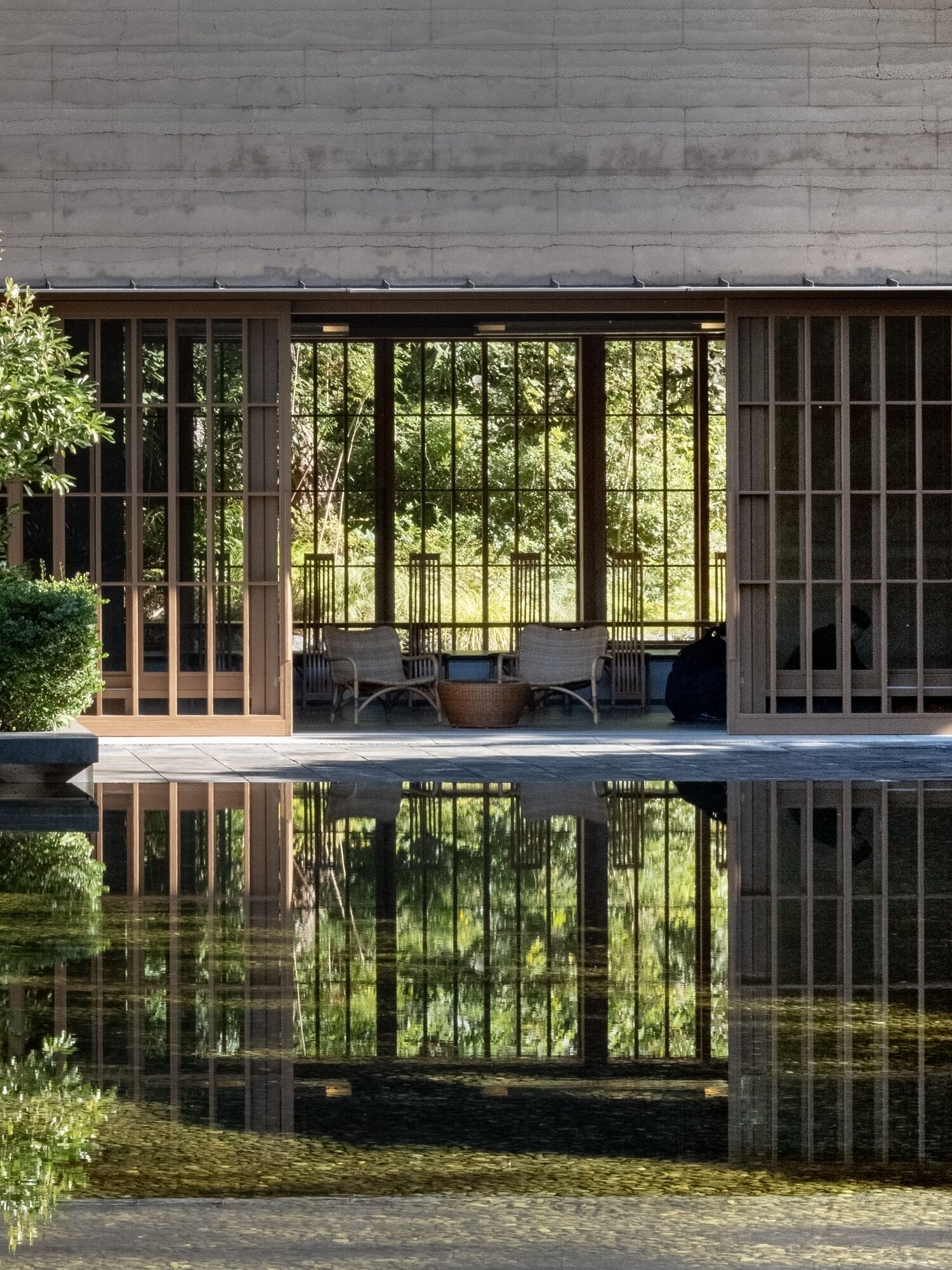 テラス / パティオ