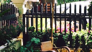A garden with a wooden chair, a green umbrella, and a black fence. - Sleepy Oho (Chiang Mai)