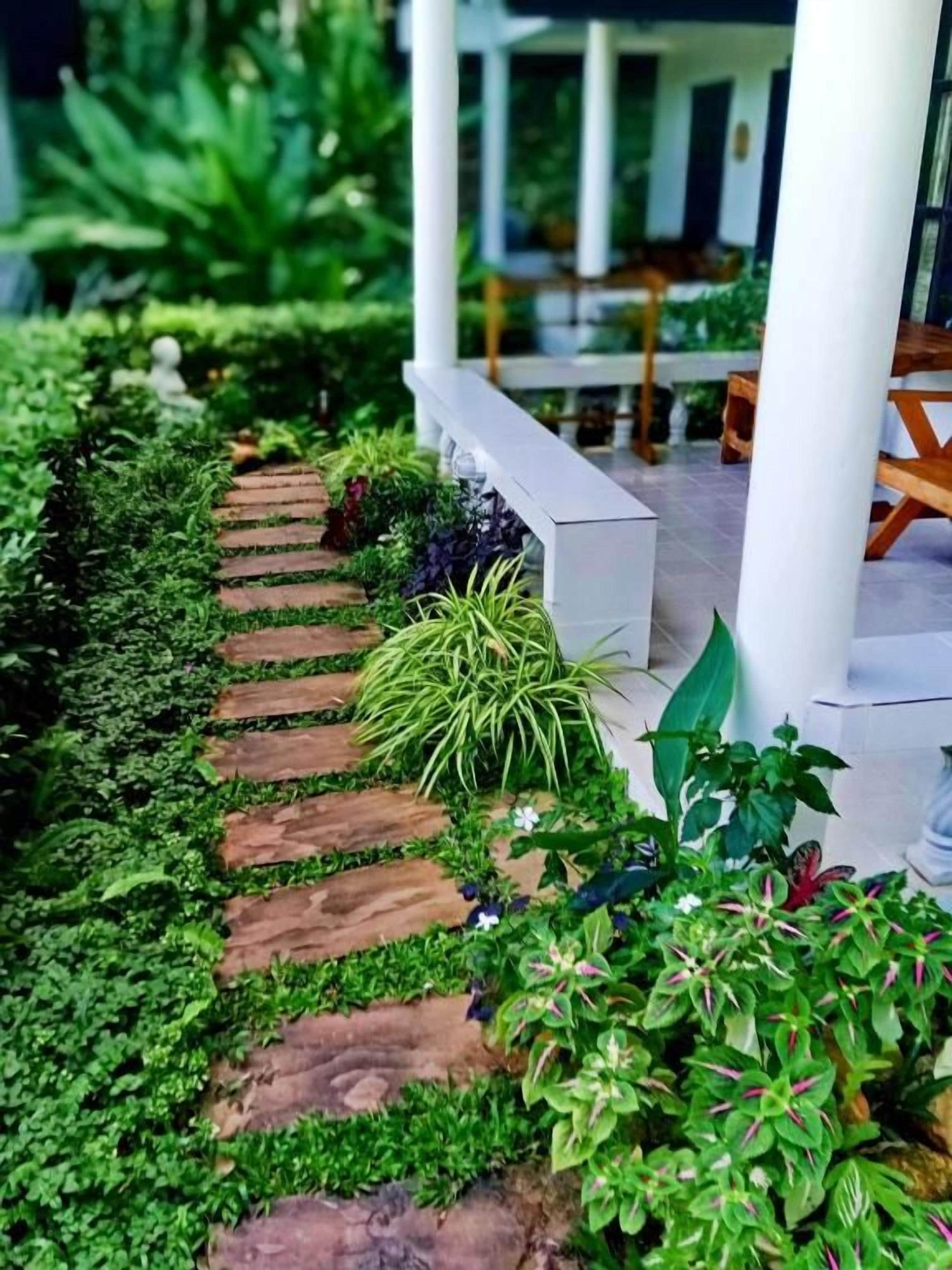 Un sendero en un jardín con piedras y diferentes plantas.