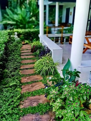 Un sendero en un jardín con piedras y diferentes plantas.