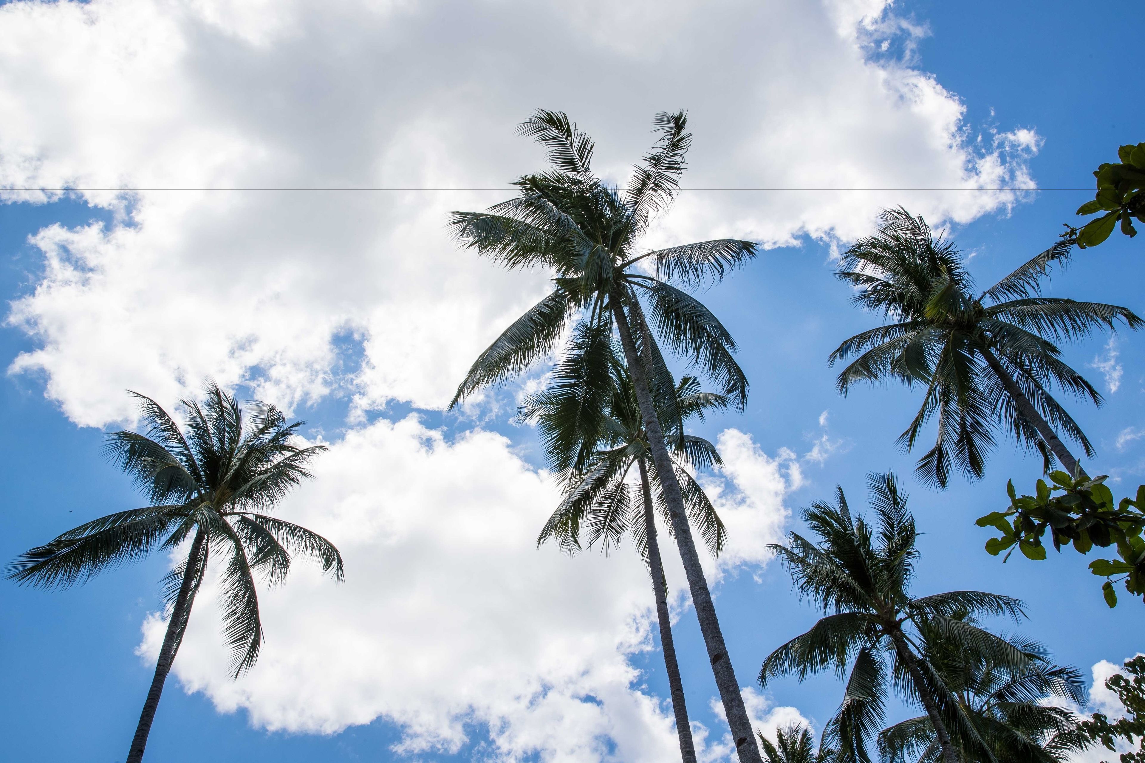 Foto - Last Frontier Beach Resort - Adults Only