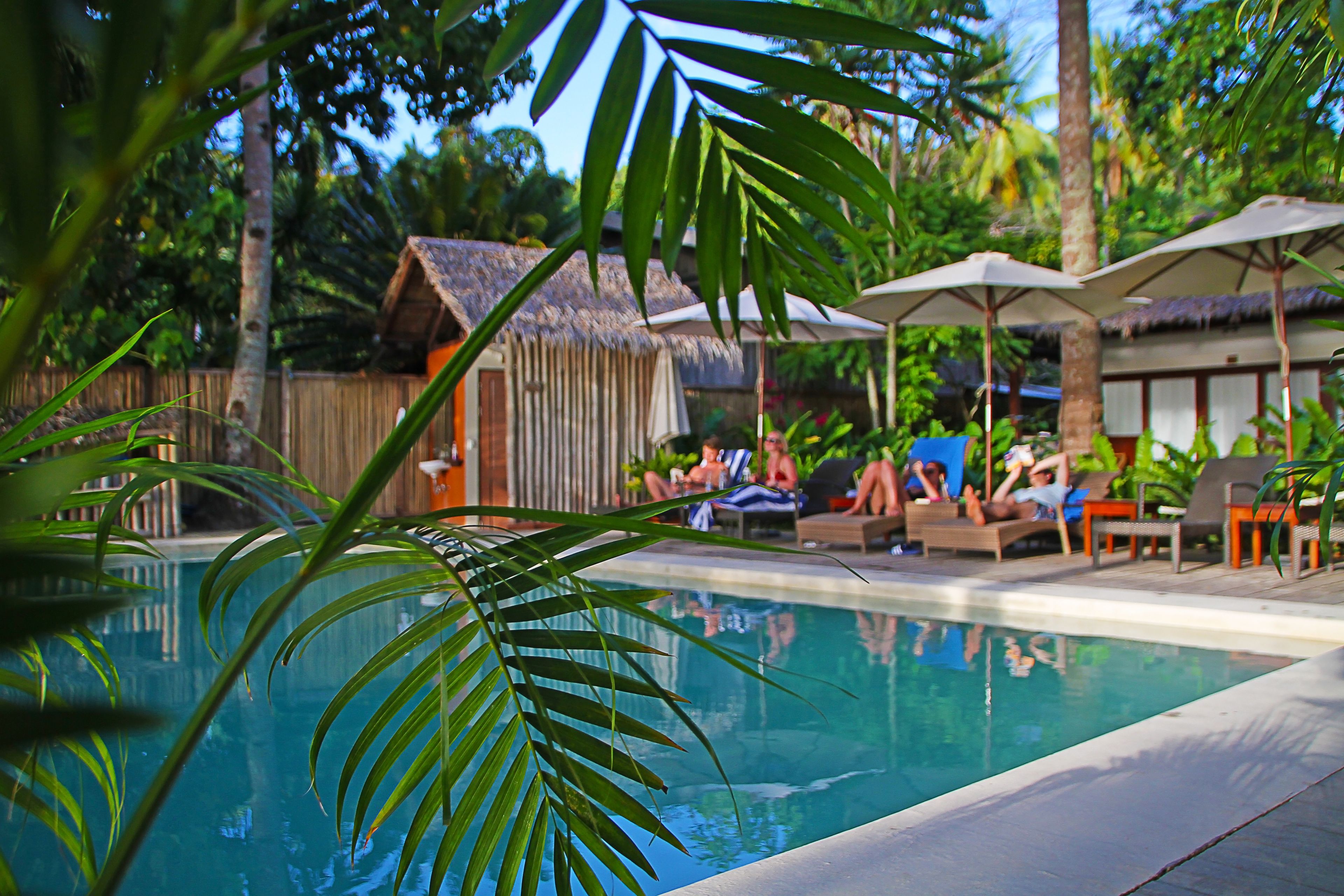 Un área de piscina con sillas de descanso y sombrillas, rodeada de plantas tropicales y una estructura con techo de paja.