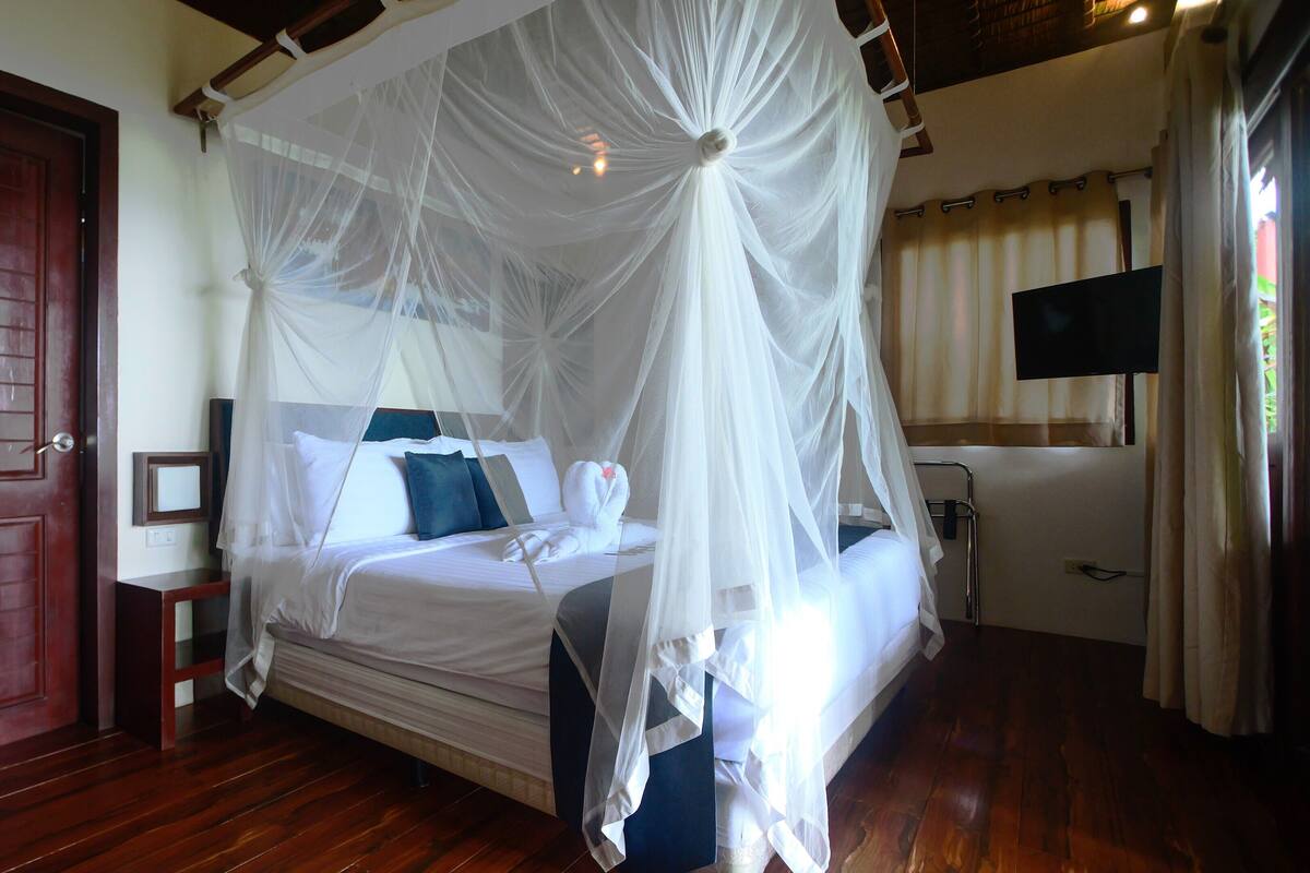 A four-poster bed with a canopy, a television mounted on the wall, and a wooden door.